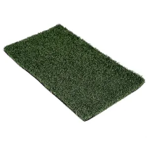 Hockey SyntheticTurf - Sand Dressed