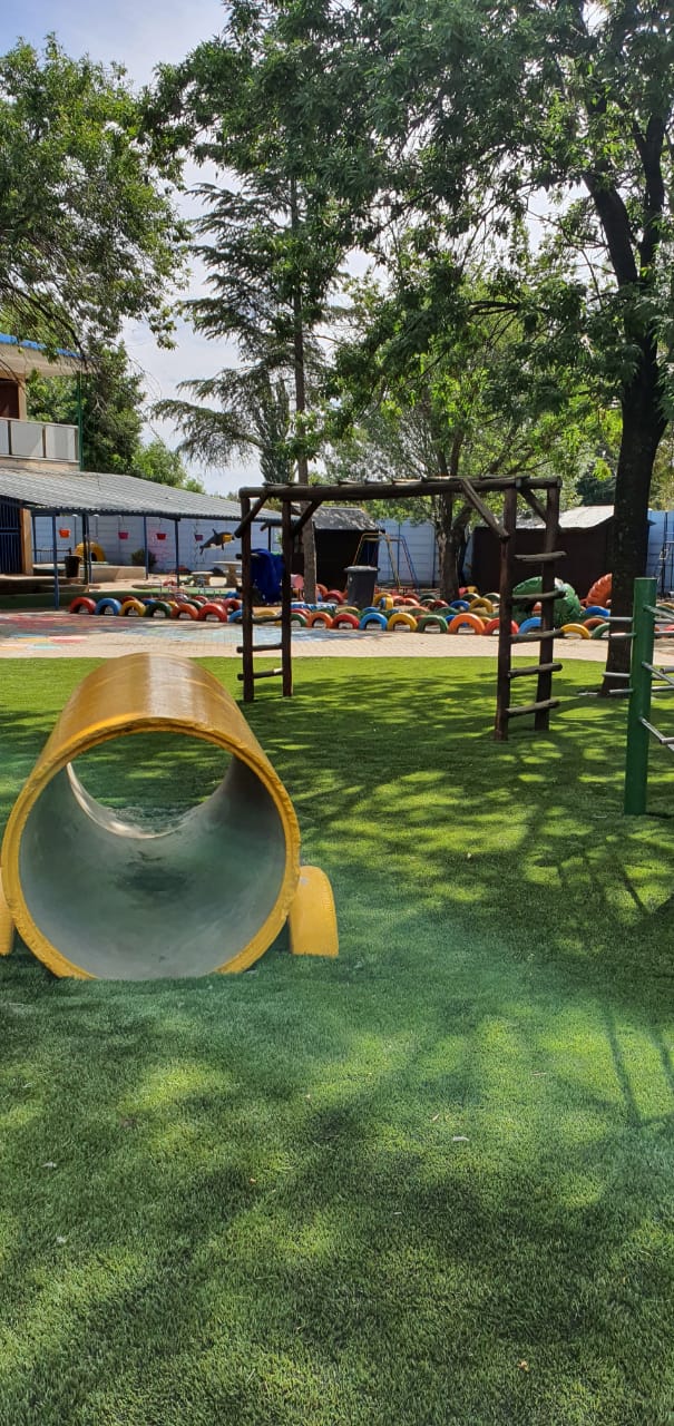 grass in play area