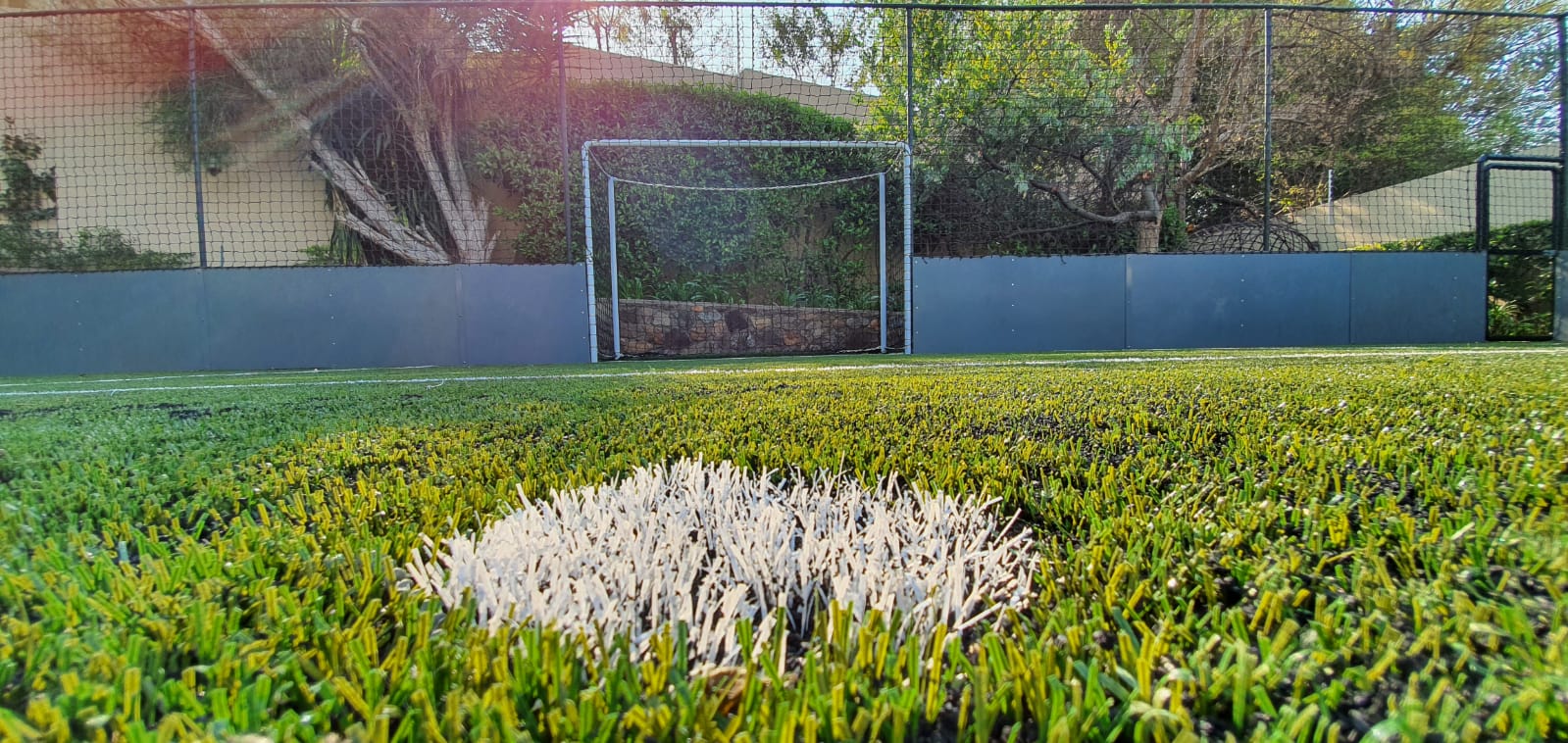 soccer grass